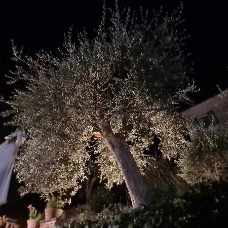 Casa vacanze La Terrazza, Historic Tuscan Stone With Garden&terrace In Cetona