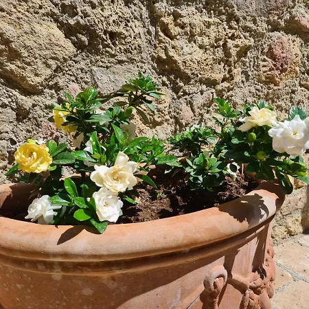 La Terrazza, Elegant Tuscan Stone House With Garden And Terrace In * Cetona