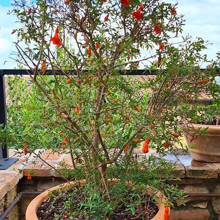 La Terrazza, Elegant Tuscan Stone House With Garden And Terrace In Holiday home Cetona
